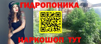 спайс Будённовск